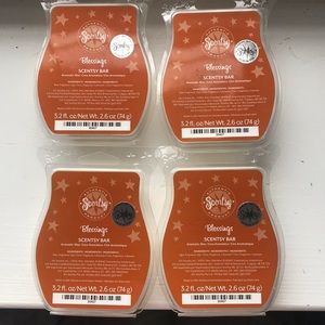 Blessing Scentsy Bars